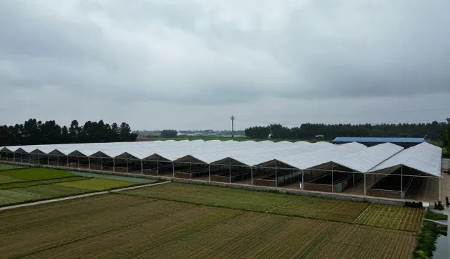 决策失误如何影响管理策略，如何避免适用误区